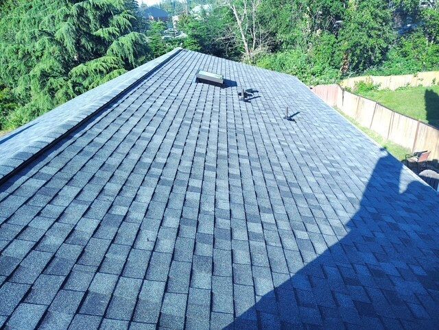 Blue-gray shingle roof with skylights, viewed from above, surrounded by green trees.