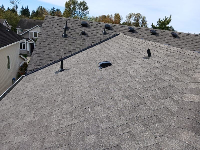 Gray shingled rooftop with multiple vents and skylights, viewed from above with trees in the background