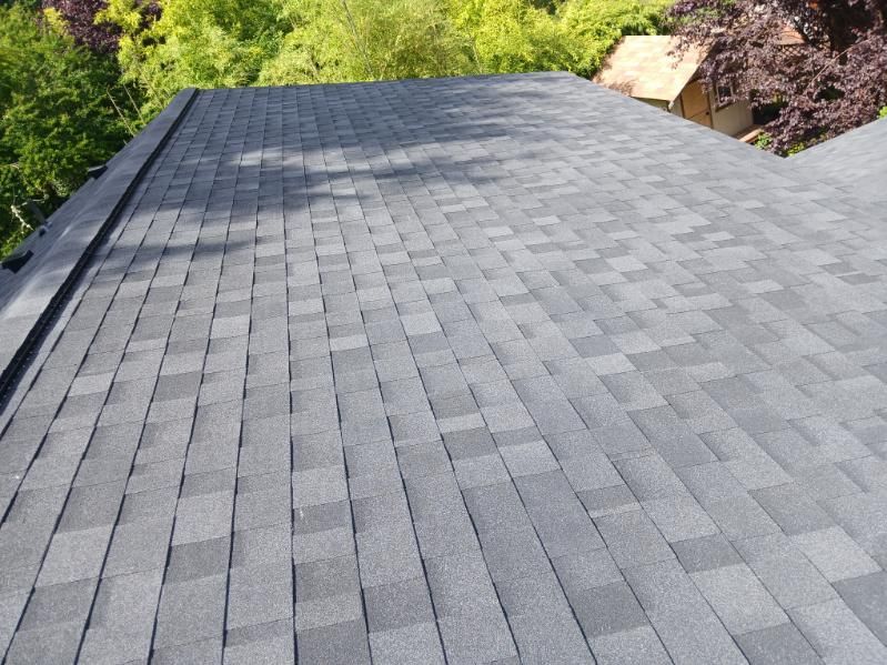 Gray asphalt shingle roof with two skylights, surrounded by green trees