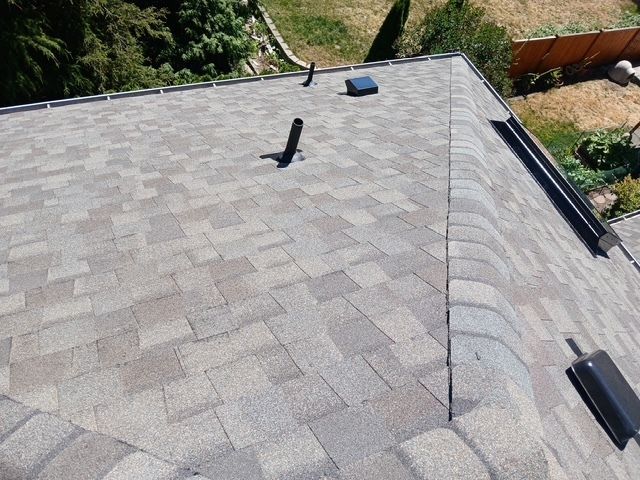 Gray shingled roof with vents and a small skylight, viewed from above.