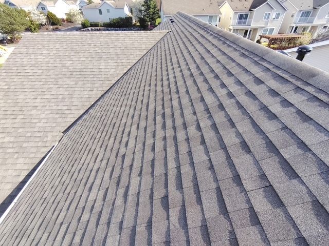 Roof shingles viewed from above on a suburban house, with neighboring homes visible in the background.