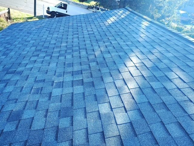 Blue shingle roof viewed from above, with sunlight and a few trees in the background