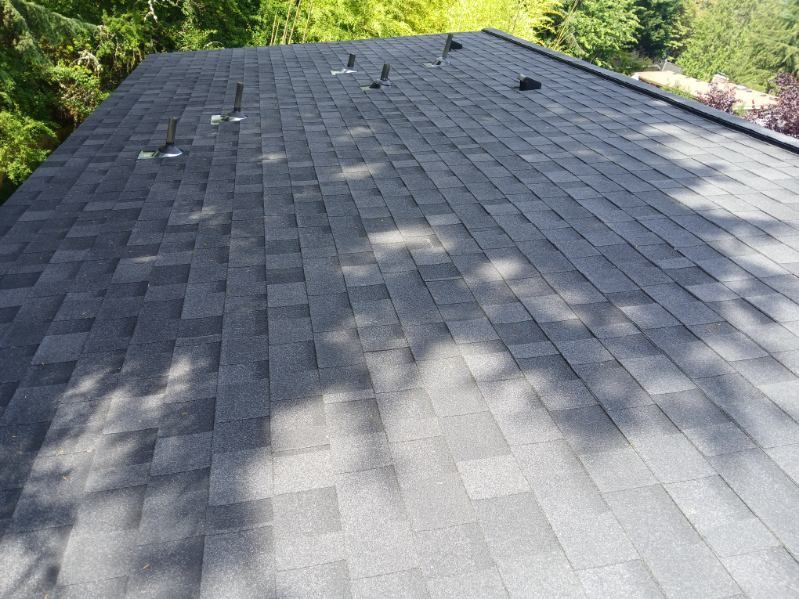 Gray shingled roof with sunlight and tree shadows, viewed from above