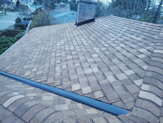 Shingled rooftop with a skylight and blue flashing, viewed from above.