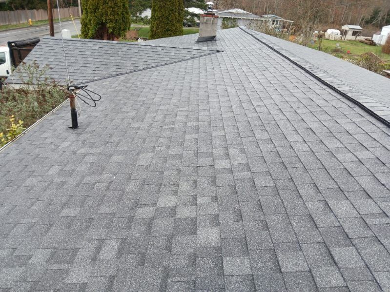 Gray shingled roof with a chimney and vent, viewed from above in a residential yard