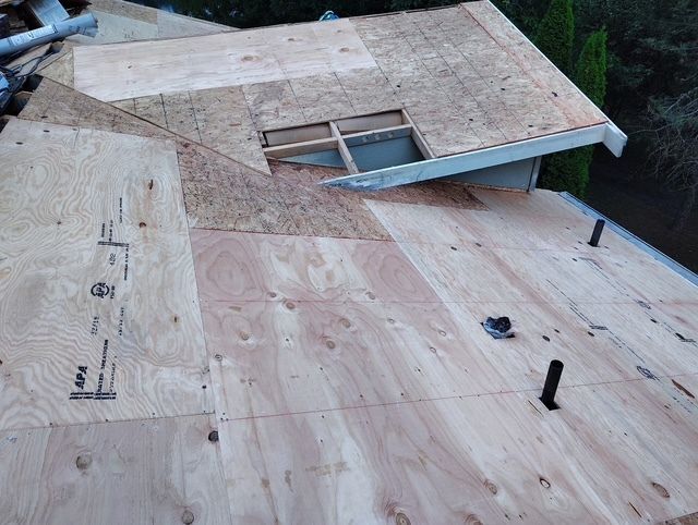 Plywood roof under repair with a dormer window and exposed framing