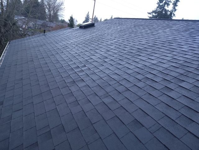 Dark gray shingled roof with skylight, viewed from below on a cloudy day