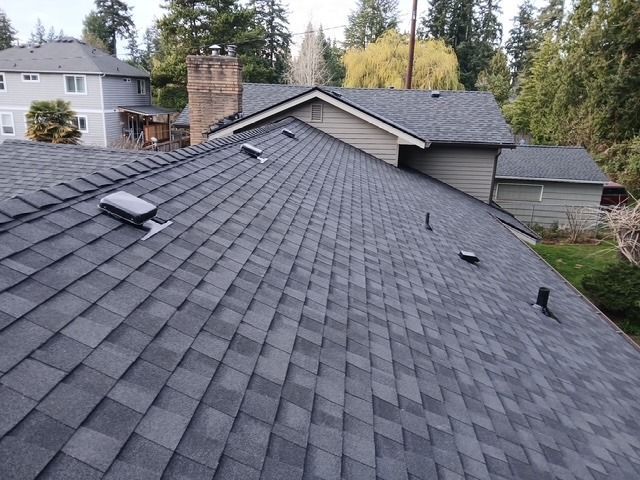 Dark gray shingled roof on a house, viewed from above with trees and neighboring homes in the background