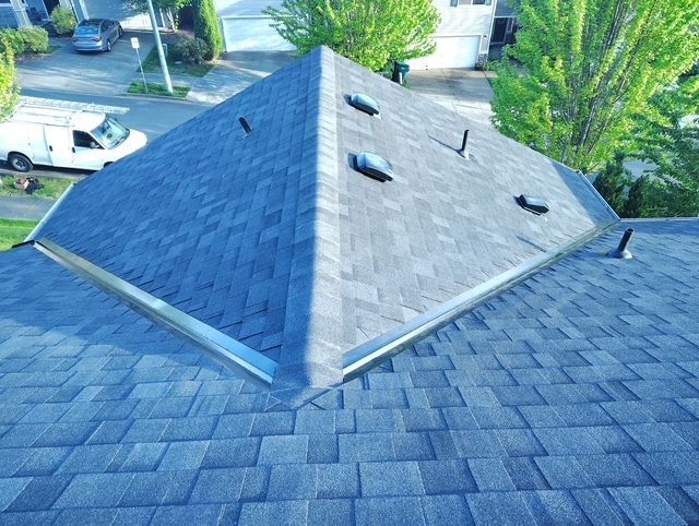 Aerial view of a gray shingled roof with skylights and a driveway below.