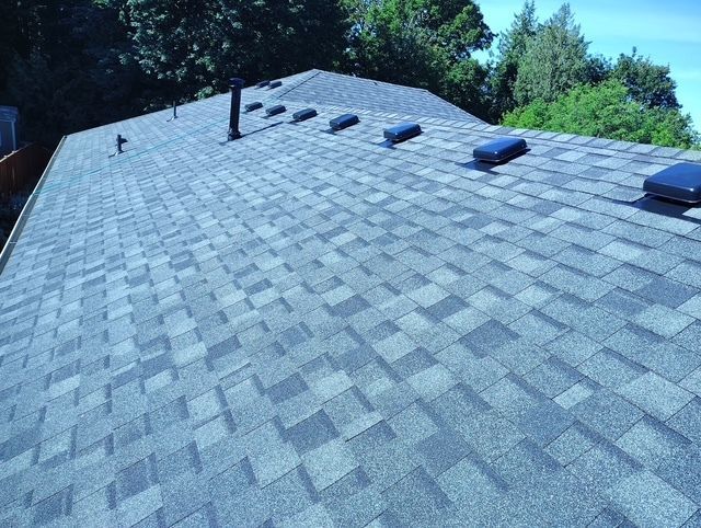 Gray shingled roof with skylights and vents against trees and blue sky