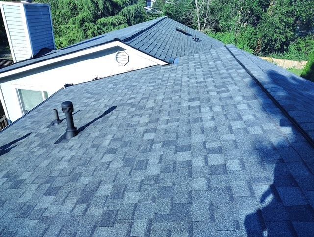 Blue-shingled roof with a vent pipe and trees in the background