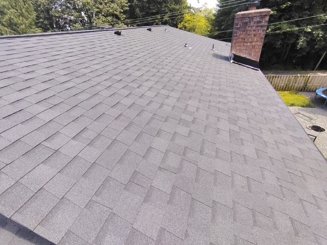 Gray shingled roof with a brick chimney and trees in the background