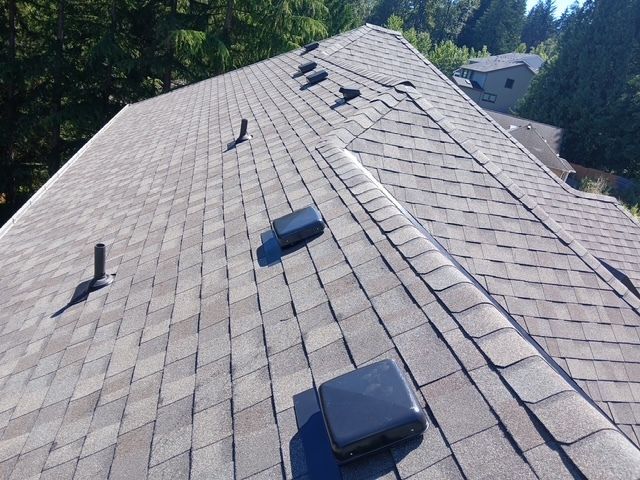 Rooftop covered in gray shingles with several black roof vents and trees in the background