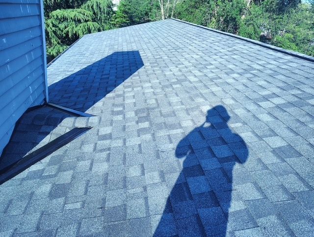 Shingled roof with two shadows cast on it beside a blue building and green trees
