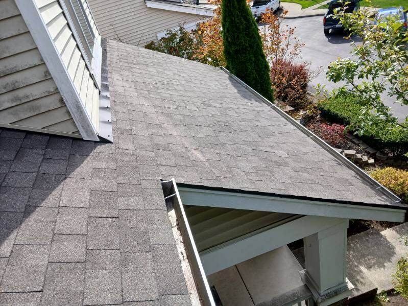 Roof shingles and steep roof section beside a house with trees and a driveway below
