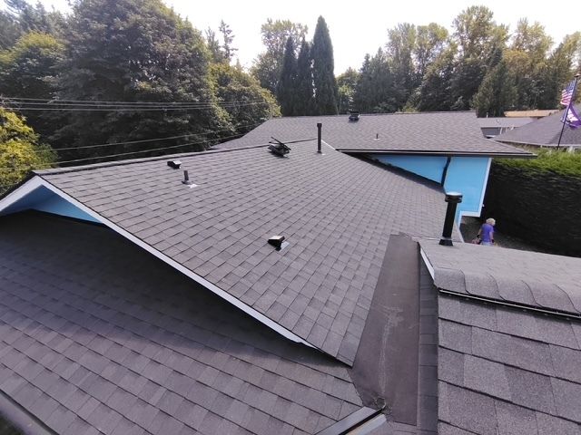 Gray shingled rooftop with multiple sections and blue house walls, surrounded by trees under daylight