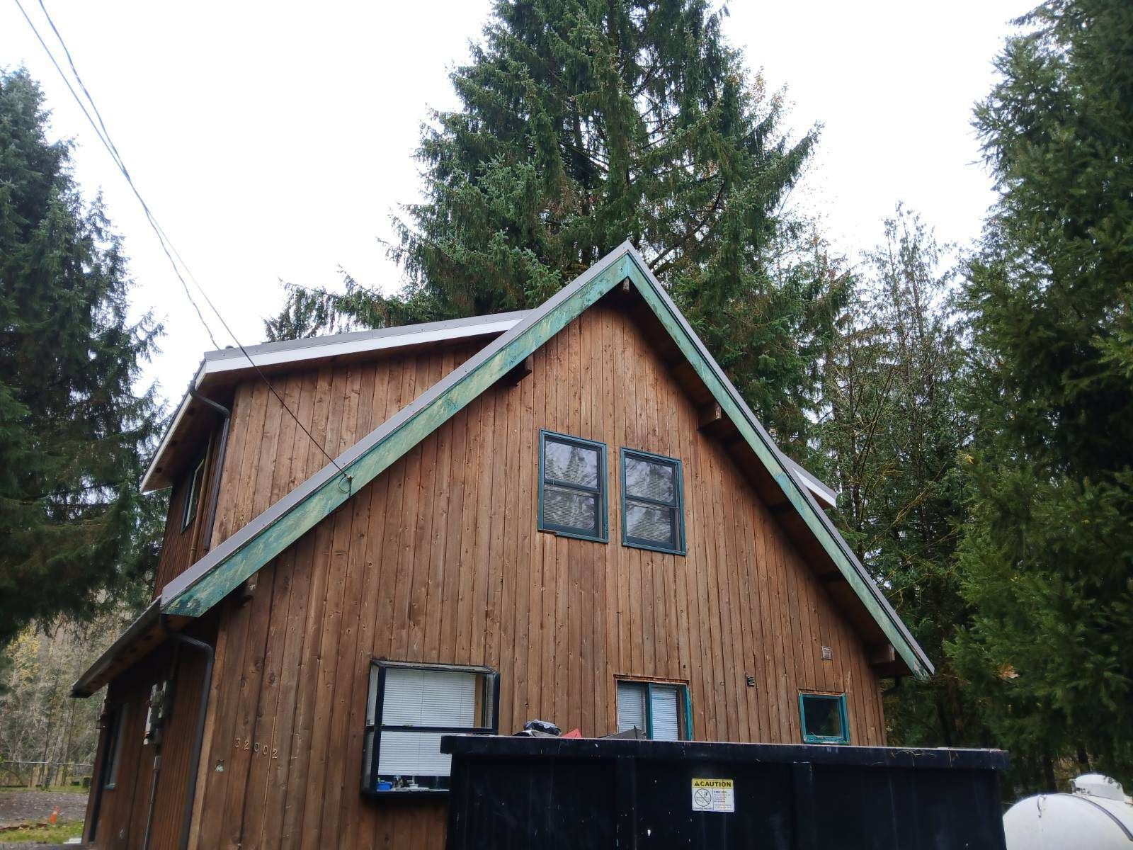 Small wooden cabin with green-trimmed roof beside tall evergreen trees