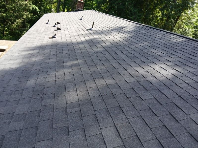 Gray shingled roof with several vents, viewed from above beside green trees