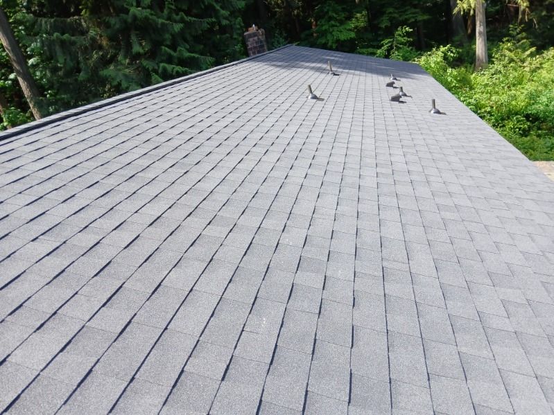 Gray shingled roof on a house, surrounded by green trees and forest.
