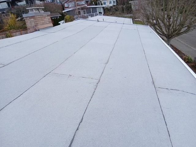 Flat white rooftop with seams and nearby trees under an overcast sky