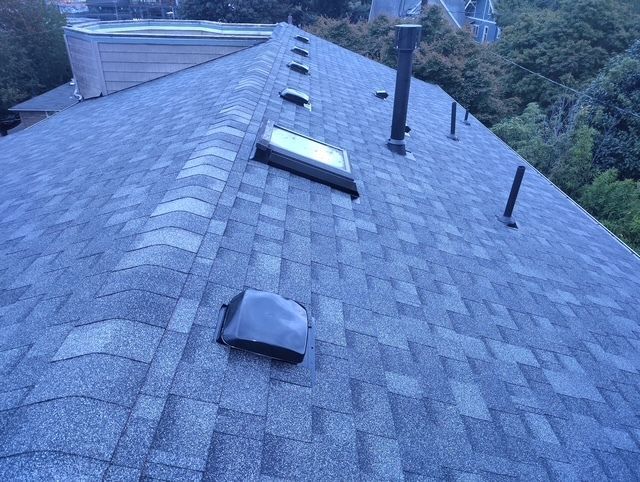 Slate roof with skylight and vents, viewed from above against a wooded hillside.
