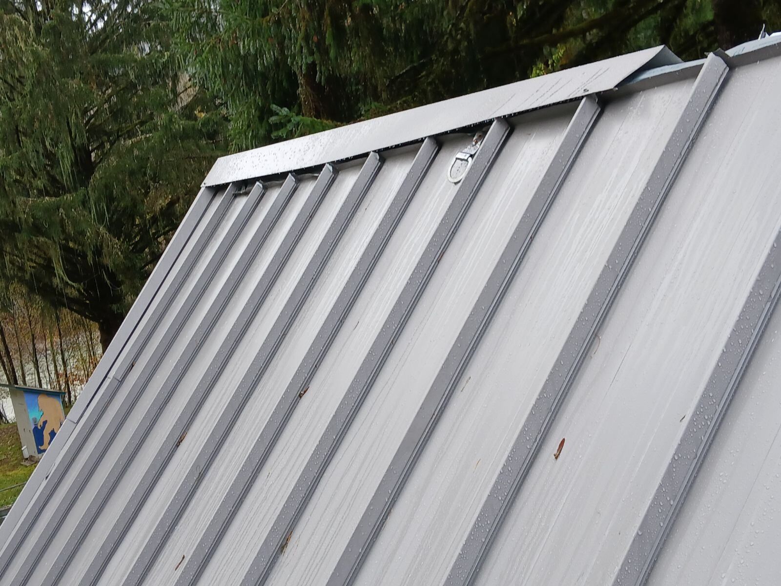 Gray corrugated metal roof with vertical ridges beside trees and a building edge
