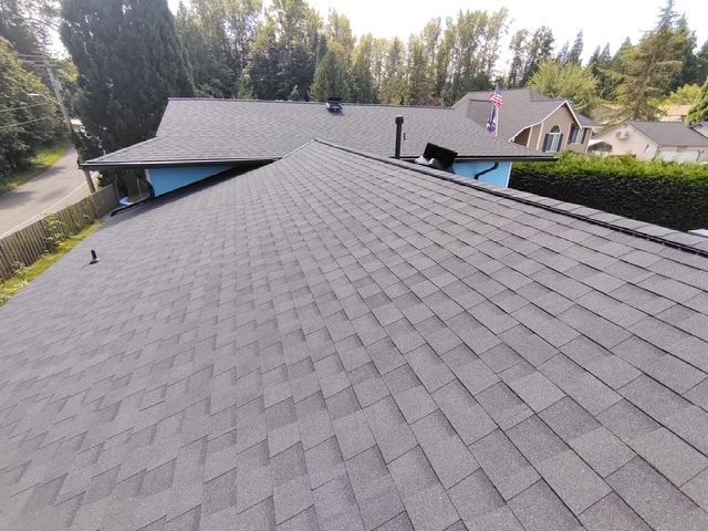 View from a shingled roof over a suburban neighborhood with trees and houses at sunset