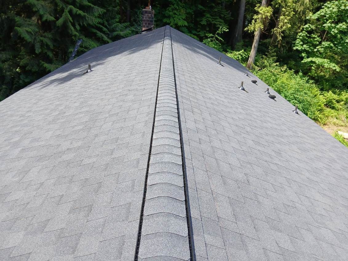Gray shingled roof ridge with trees in the background