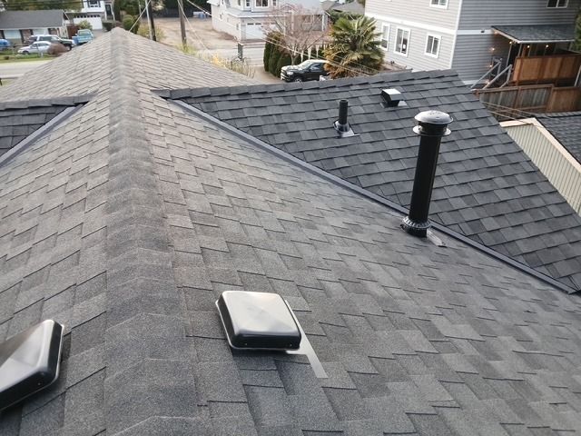 Residential rooftops with gray shingles, vents, and chimneys in a suburban neighborhood