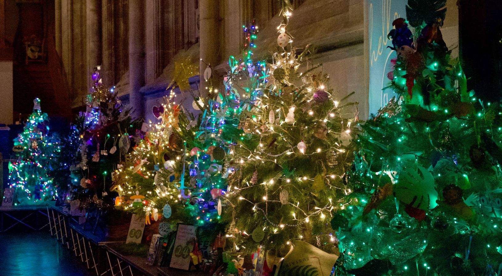 Picture of Christmas Trees