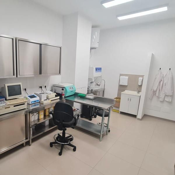 Un laboratorio pulito e luminoso, dotato di piani di lavoro in acciaio inossidabile, attrezzature specializzate e camici bianchi.
