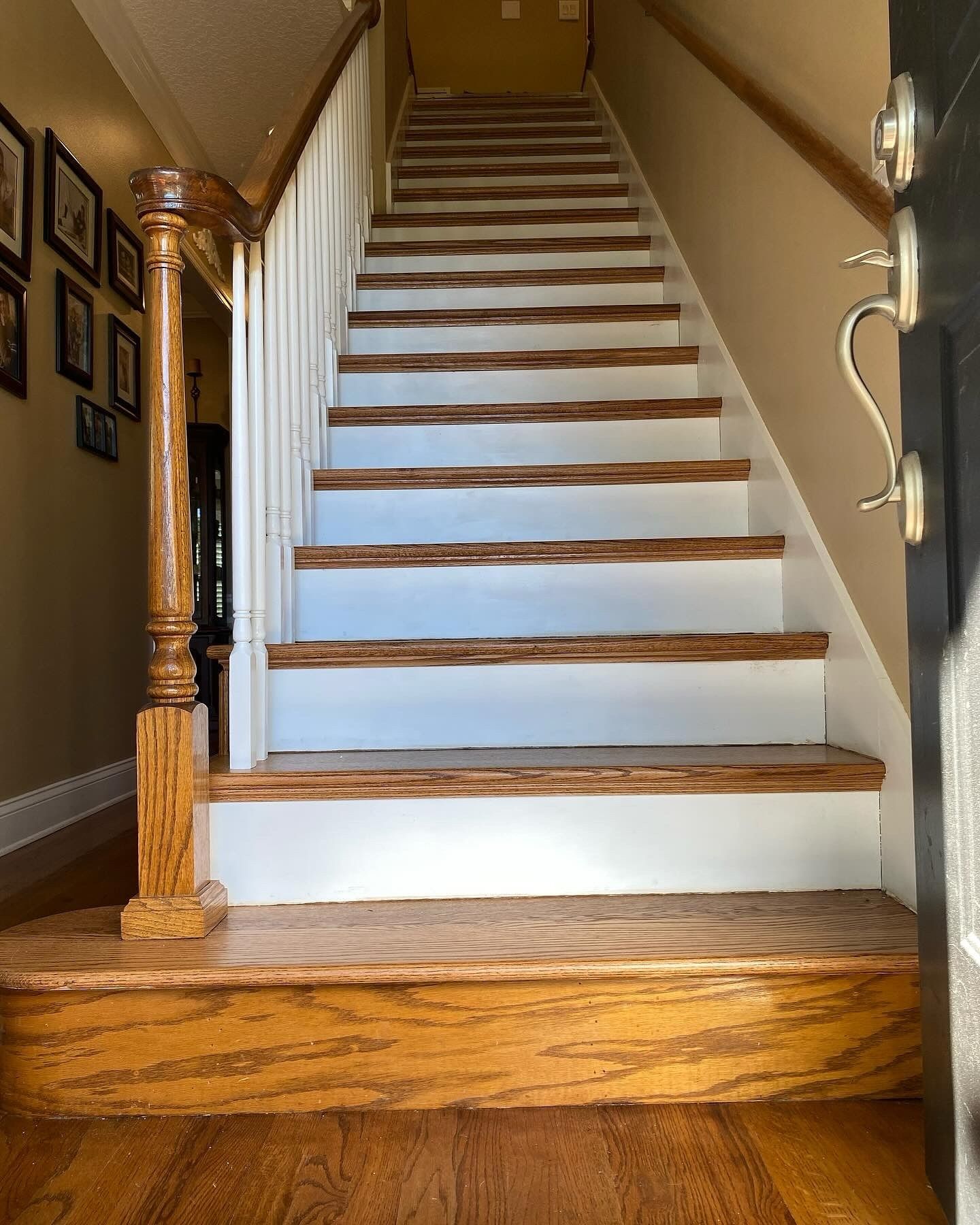 Carpeted staircase with white risers, wood steps, and a polished wooden banister in a home interior