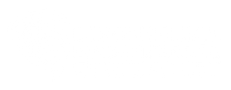 logo-white
