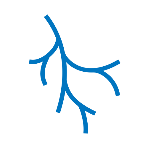 Vascular clinical trials