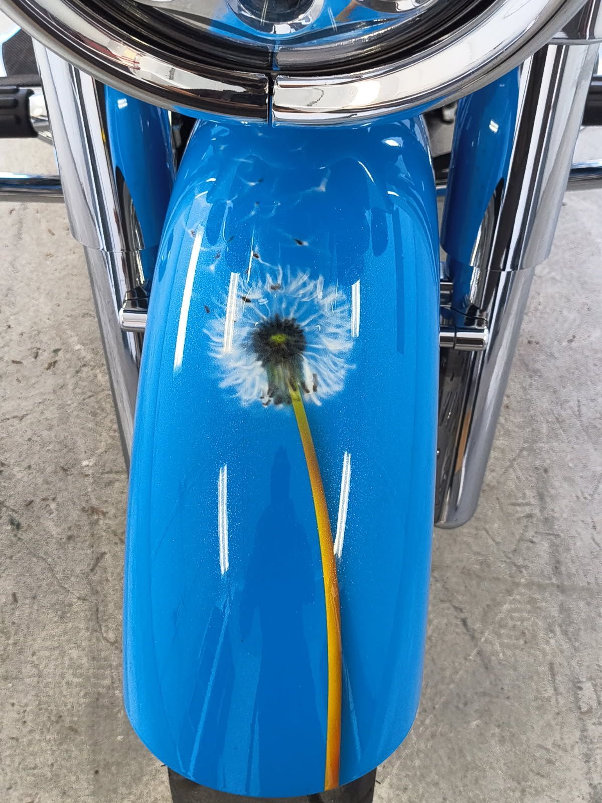 Blue motorcycle fender with a yellow flower stem tucked into a small dent beneath the headlight