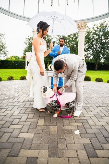 Wedding ceremony: Bride holds umbrella while groom adjusts dog's outfit, officiant looks on. Brick patio, overcast day.
