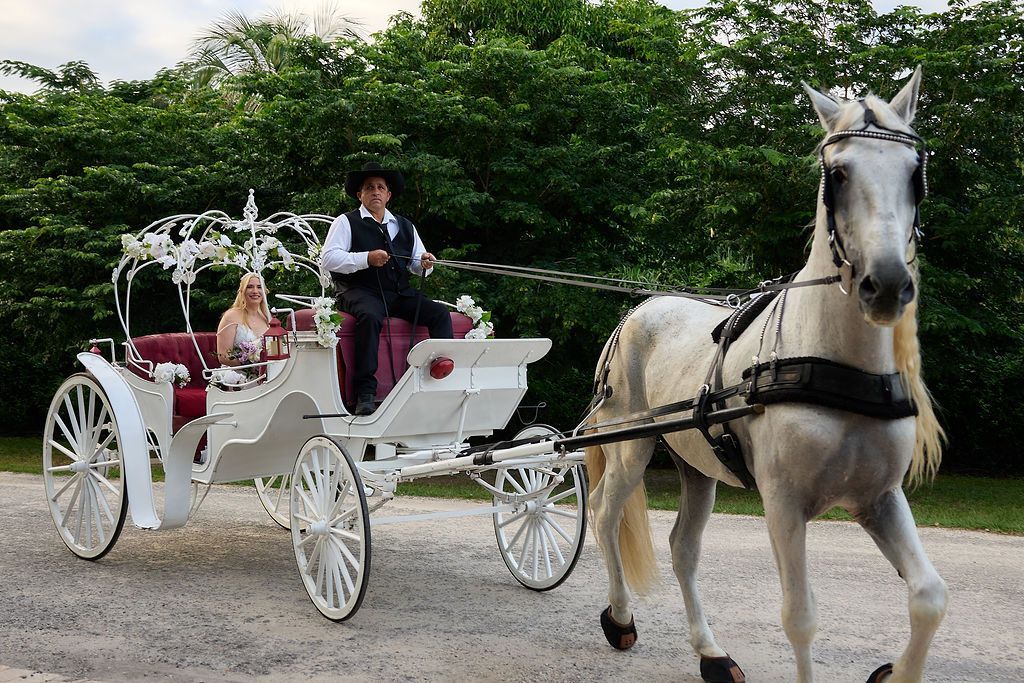 White horse pulling a white carriage with two passengers and a driver on a gravel road.