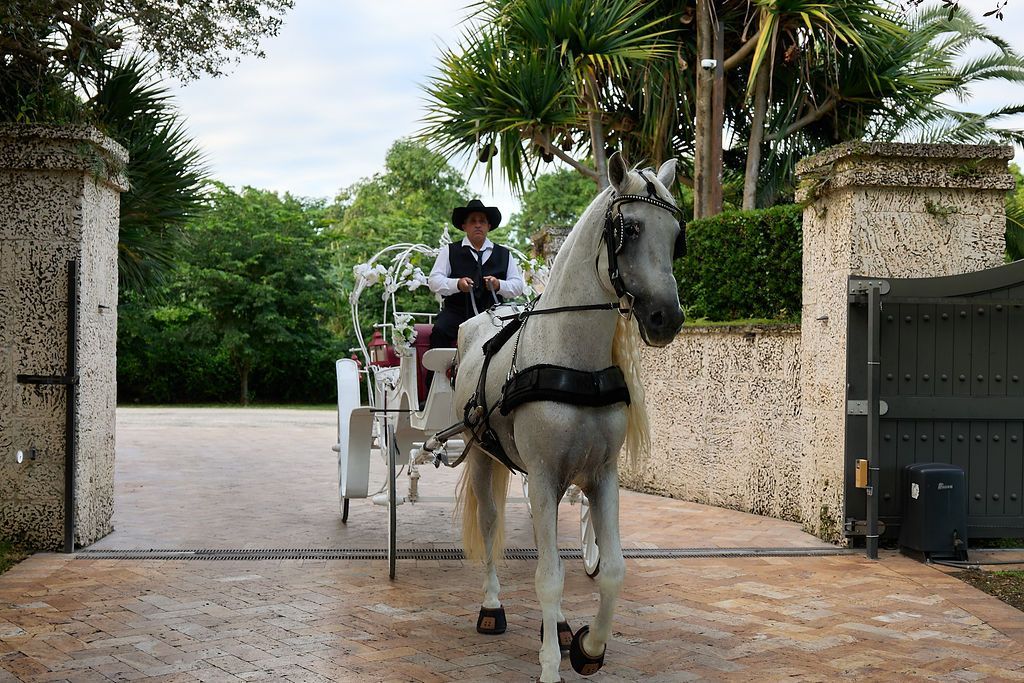 Horse-drawn carriage exits a gated drive. A rider in formal attire guides a white horse. Lush greenery surrounds.