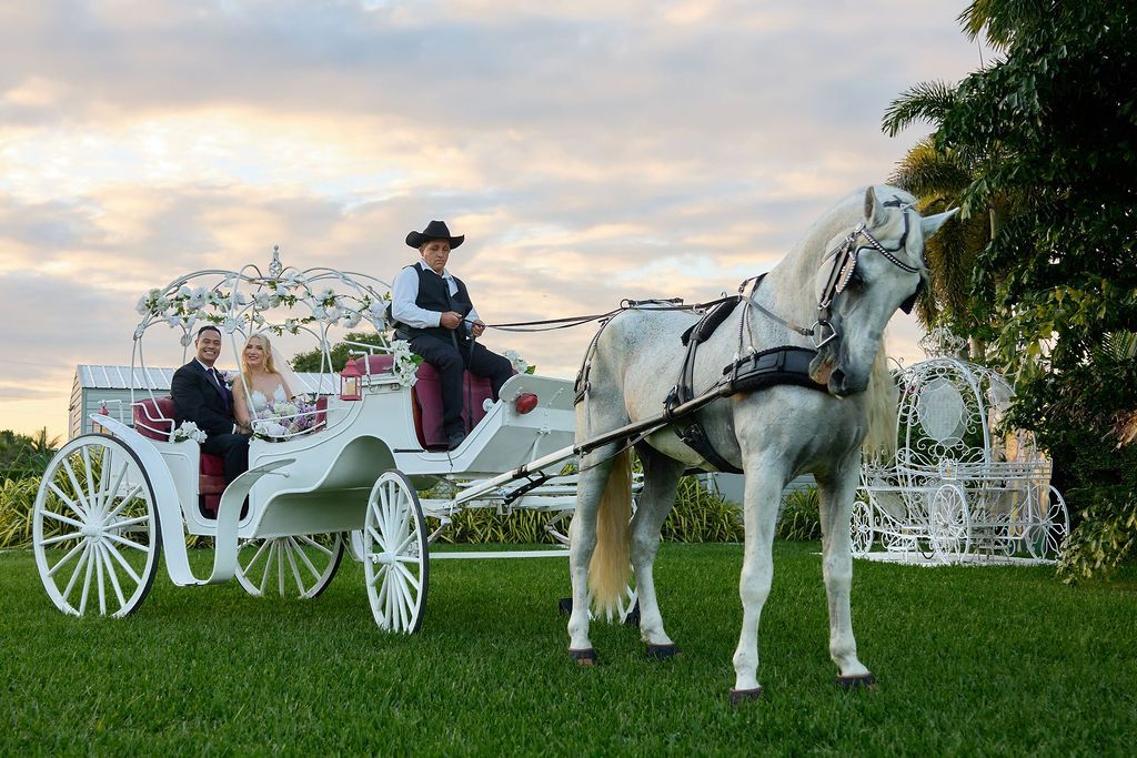 Horse-drawn carriage with couple in formal wear and driver, on a grassy lawn.