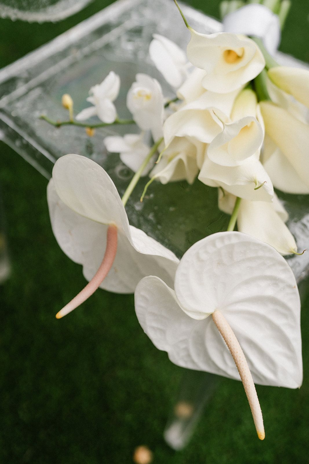 White calla lilies and anthuriums arranged on a clear surface against a blurred green background.