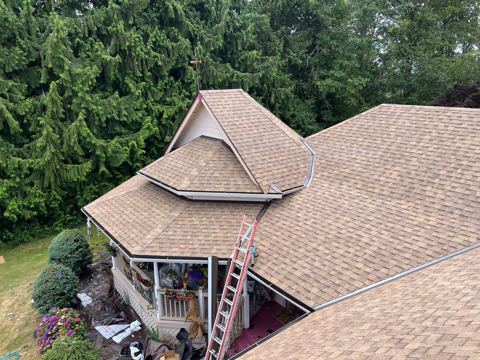 Aerial view of a house roof with a ladder leaning up beside tall green trees.