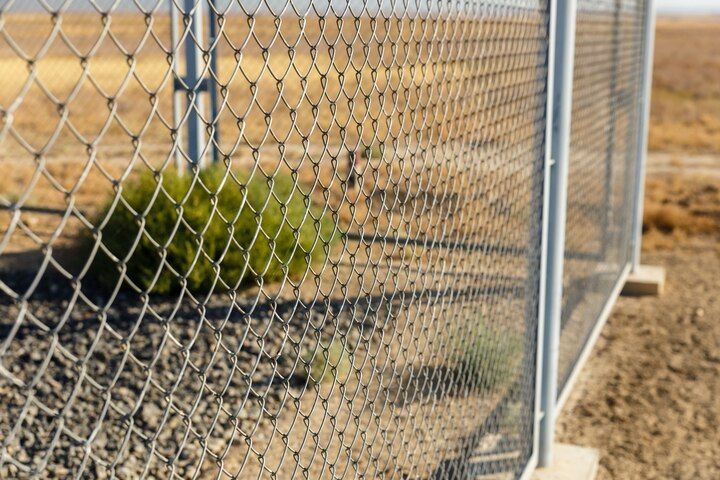 Green bush behind chain-link fence in a dry outdoor area