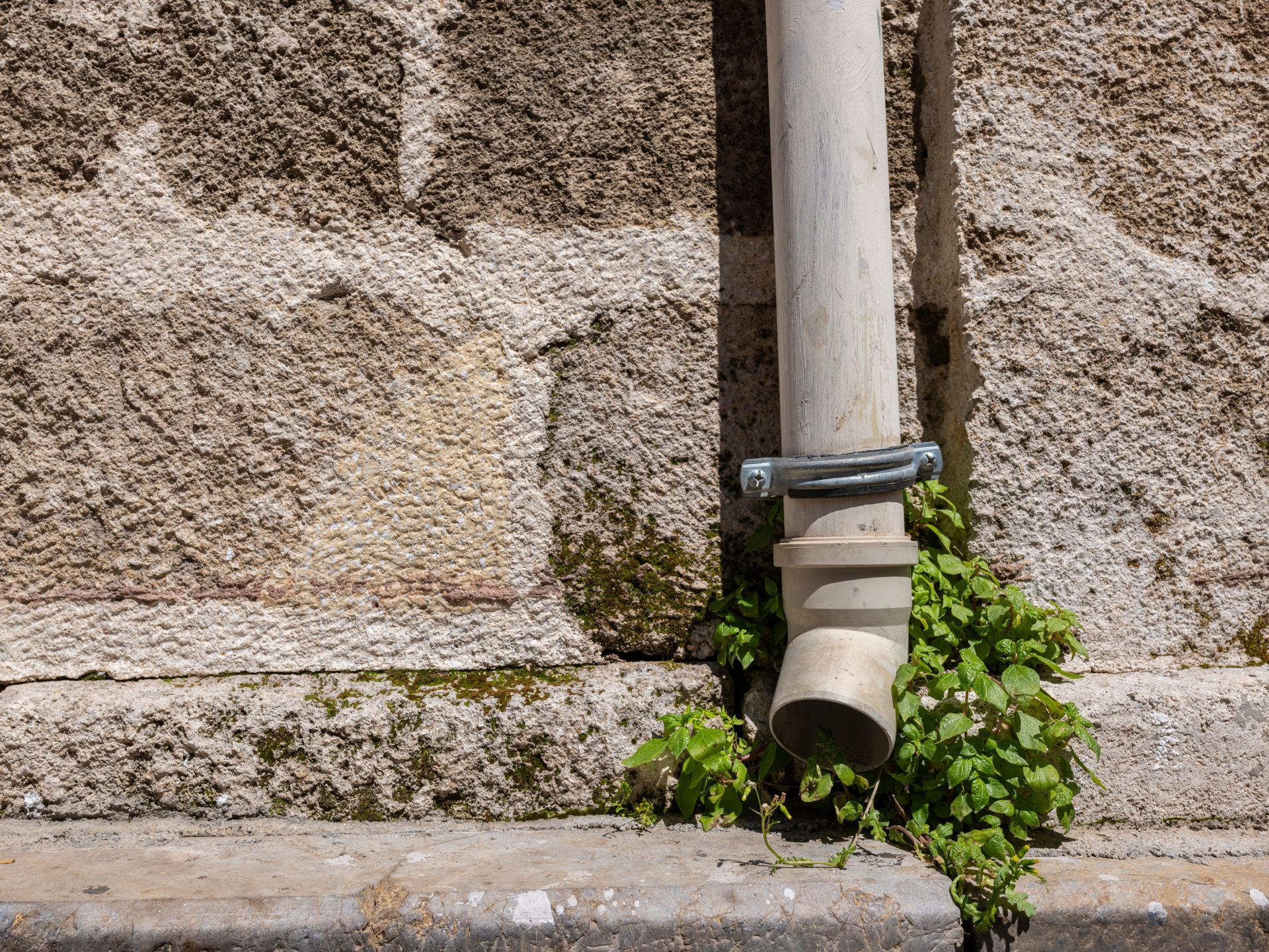 Stone wall with a vertical pipe and green plants growing at the base