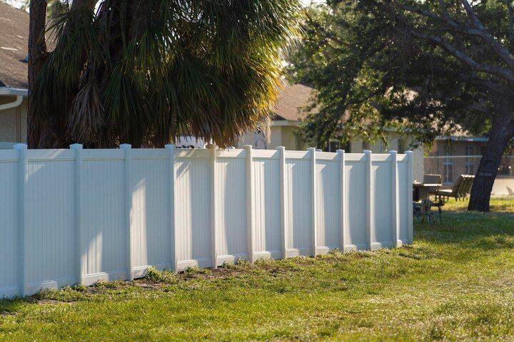 White vinyl fence beside a grassy yard with palm trees and sunlight filtering through the leaves