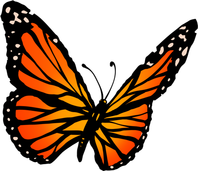 Orange and black monarch butterfly, wings spread.