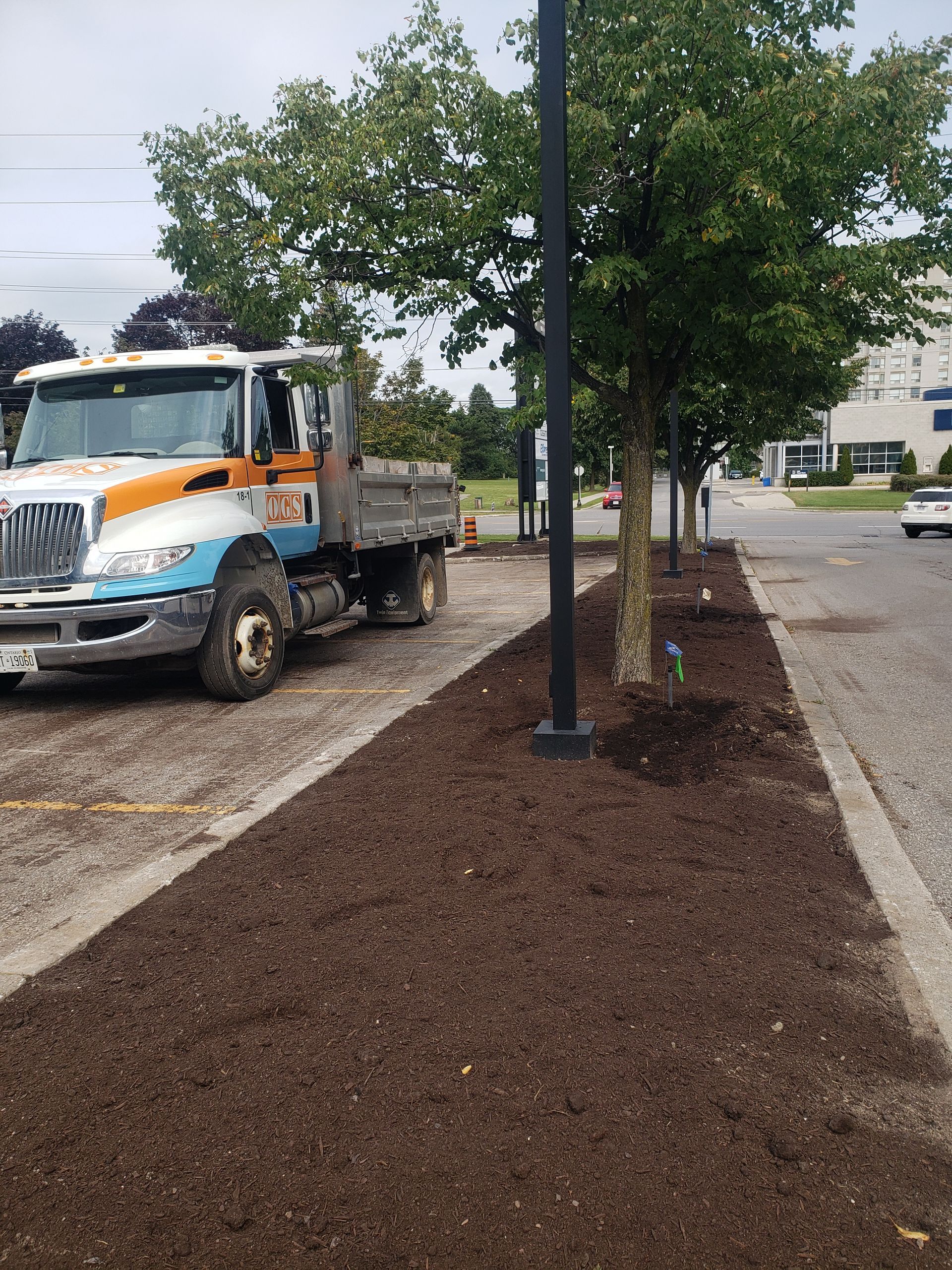 Commercial Sprinkler Systems Whitby
