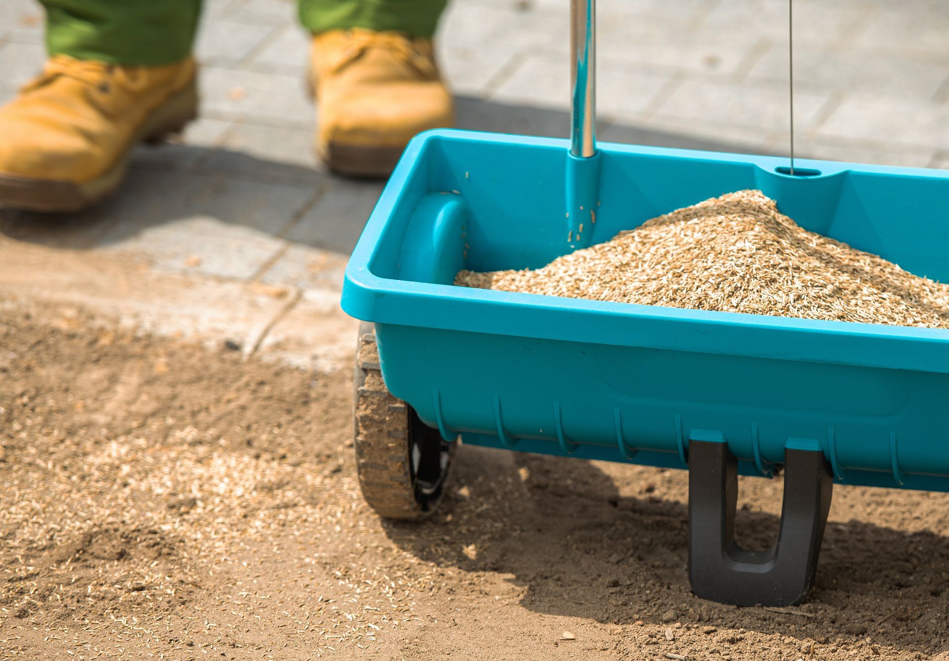 Worker seeding lawn to improve it's appearance