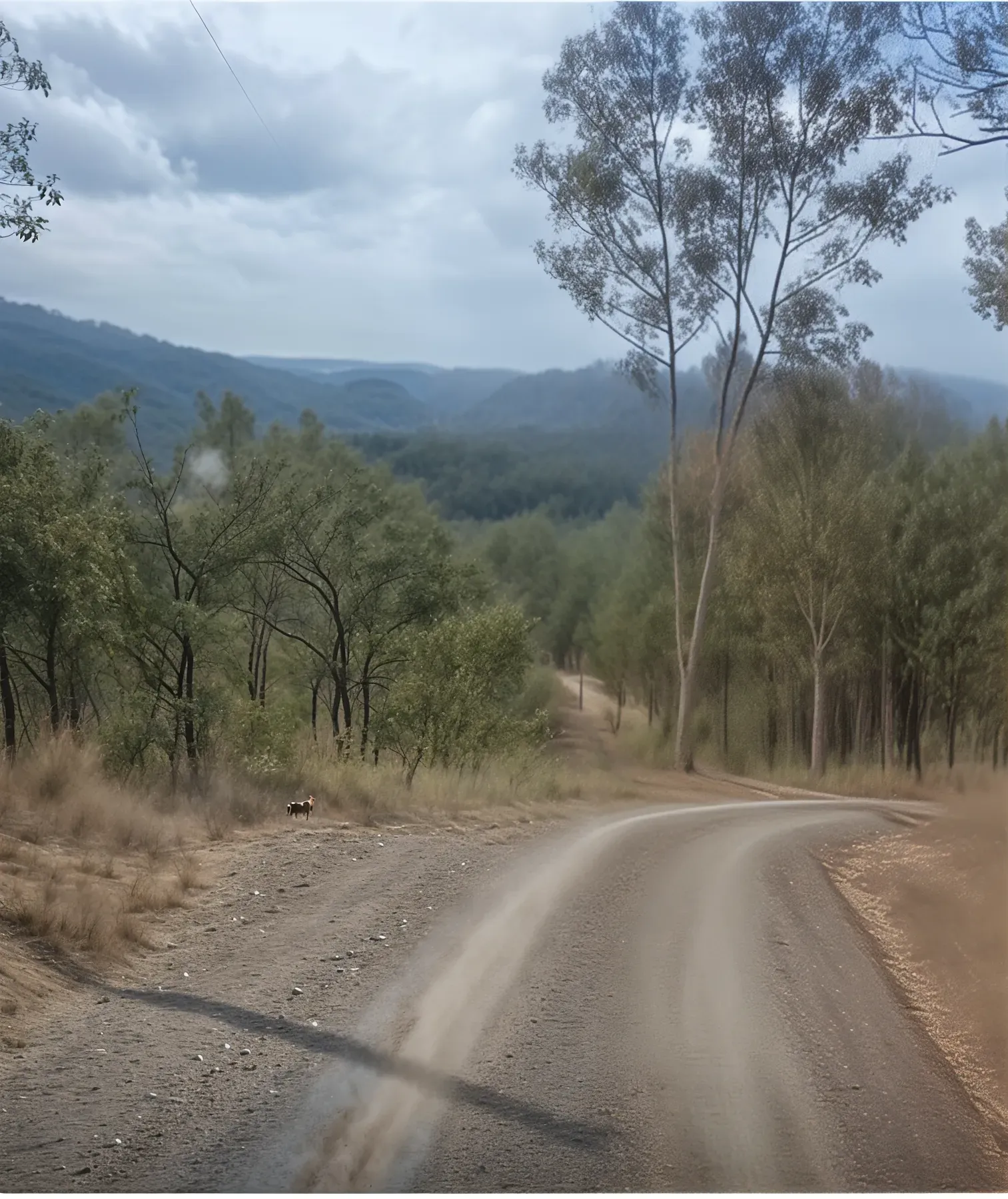 Gravel road curves into a forested valley under a cloudy sky. — Gin Gin Domestic Water Supplies in Wallaville, QLD