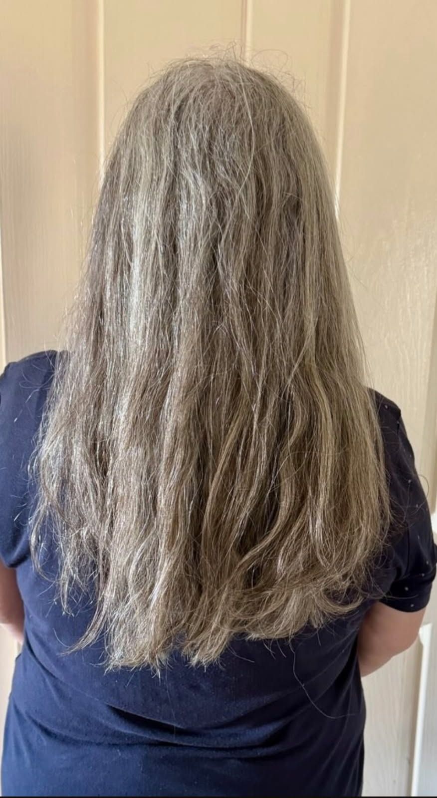 Before professional Nanoplasty hair treatment