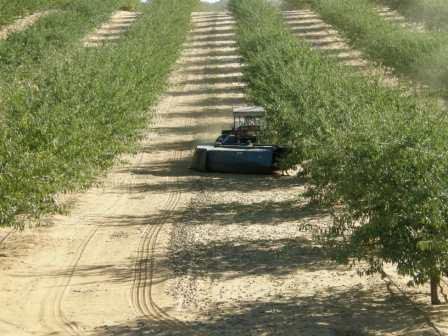 Harvesting with agricultural machinery.